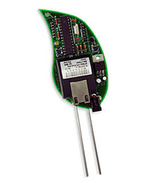 Bring a new meaning to church planting